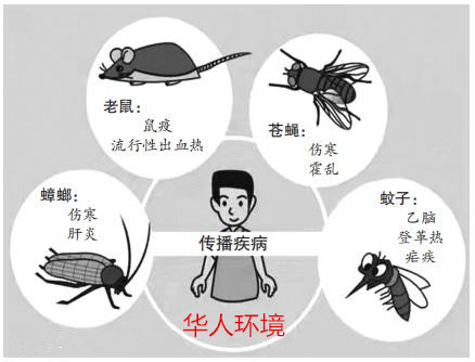 北京地区消杀四害，病媒生物防治，一站式服务