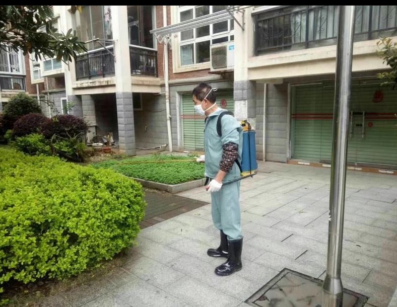 吉林市消杀蚂蚁蟑螂