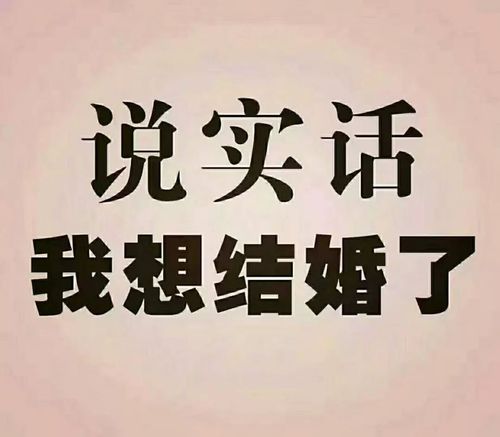 英语老师兼翻译真诚找对象
