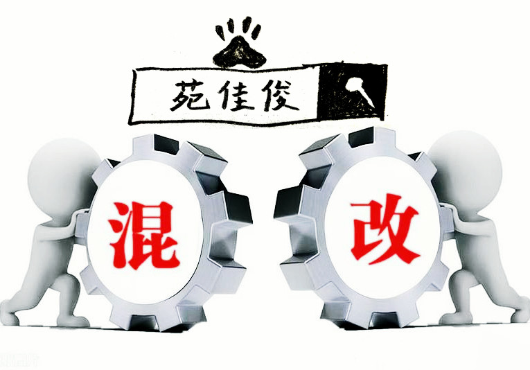 国企混改民企的目的作用方案方法