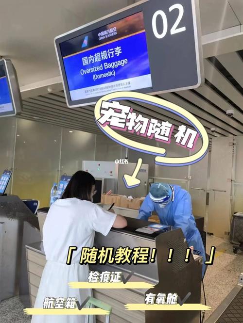福州大型宠物托运，全国上门接送