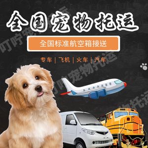 青岛全国宠物托运，隔日到达一口价