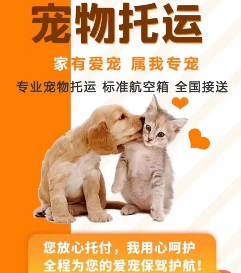 甘孜猫猫托运，24小时免费上门接送