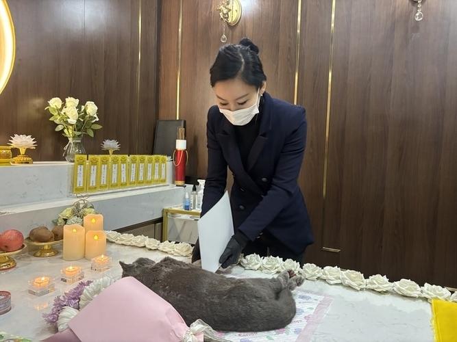 福州宠物殡葬，节假日正常营业，宠物殡葬一条龙