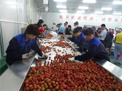 贵阳蔬菜批发-机关单位配送蔬菜-专业按时送达