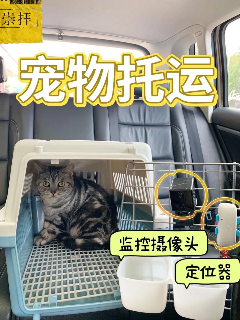 深圳宠物狗托运公司-隔日到达一口价