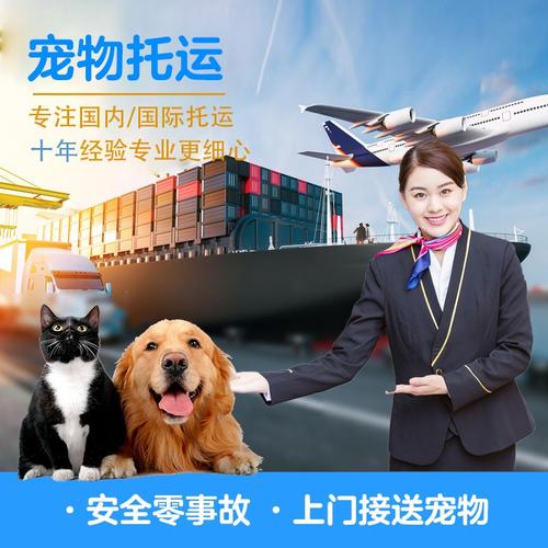 盘锦宠物出国托运-隔日到达一口价