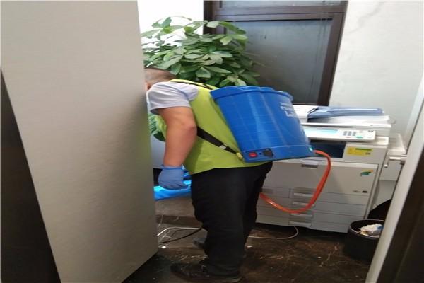 龙岩专业蟑螂灭杀公司哪家好?24小时全城上门服务