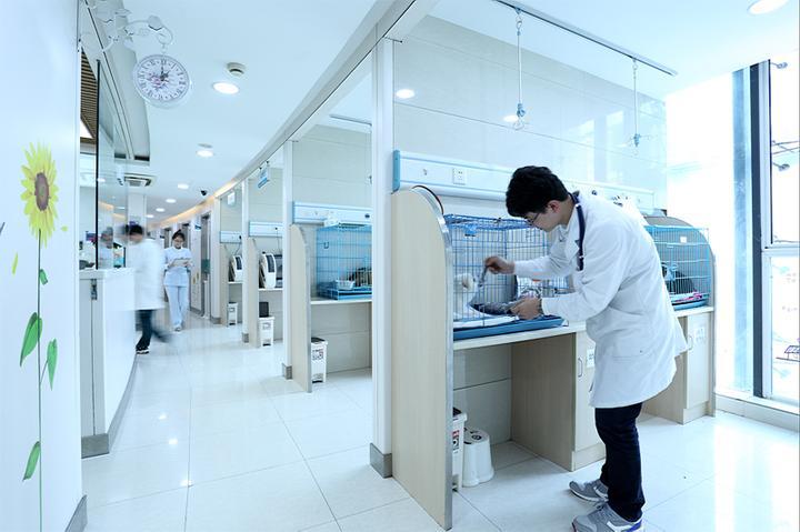 博尔塔拉宠物骨科医院_预约就诊，享受优先服务