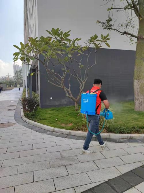 济南除杀虫公司哪家好?24小时全城上门服务
