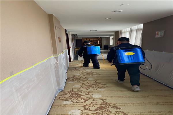 泰安专业灭鼠公司哪家强?提供除四害服务